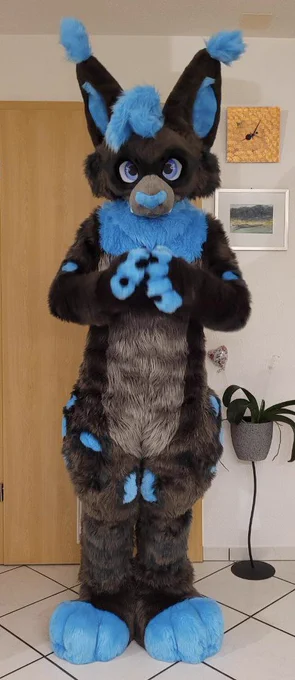 A grey lynx fursuit head with blue accents (innter ears, ear tufts, hair, nose, spots, toes, and neck). The photo was taken by the customer 💙