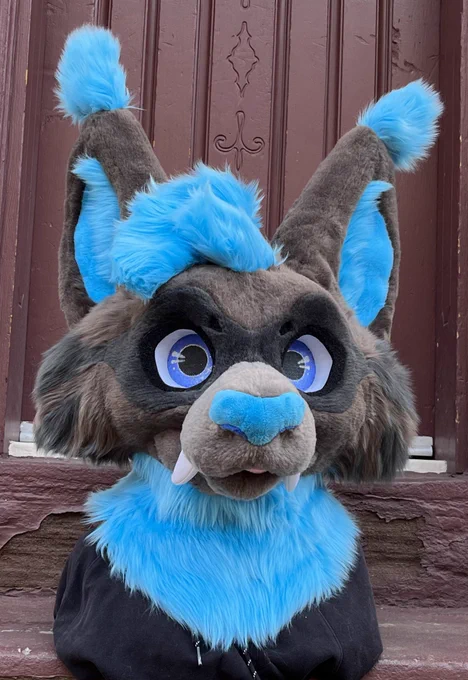 A grey lynx fursuit head with blue accents (inner ears, ear tufts, hair, nose, and neck). The character also has saber fangs. Rawr!