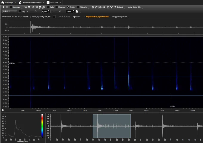 sonogram van gewone dwergvleermuis vanuit analyse batexplorer
