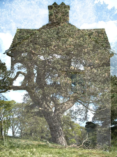 Double exposure with a house and tree superimposed