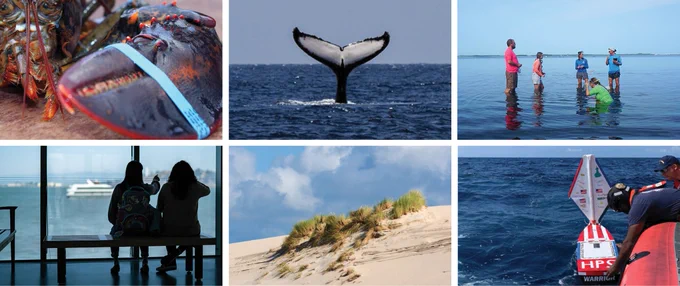 A collage of photographs including a lobster, whale tail, a group standing in shallow water, dune grass, and students launching a Miniboat.