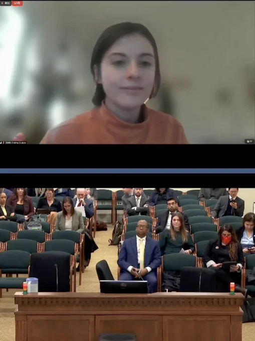 Emma testifying before House committee over Zoom