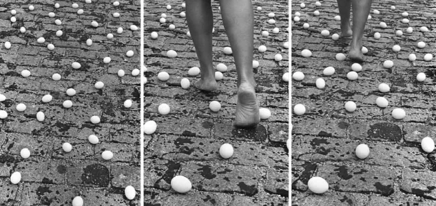 Anna Maria Maiolino, Entrevidas (Between Lives), 1981
