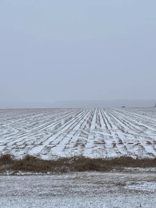 📸 3: Yesterday’s view of the newly-planted 30 acre research fields, Sunday, January 14th