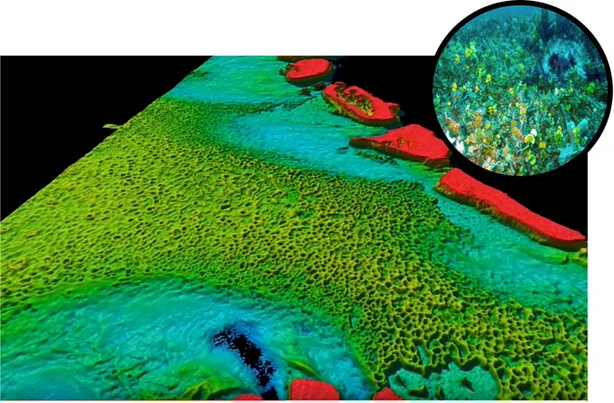 "Green donuts" of the Great Barrier Reef. Photo credit Mardi McNeil