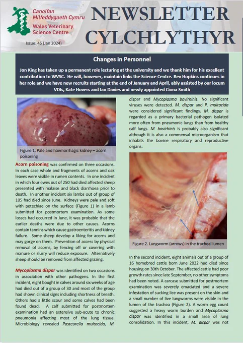 Screenshot of the front page of the WVSC January 2024 newsletter. Photos of Post mortem cases.