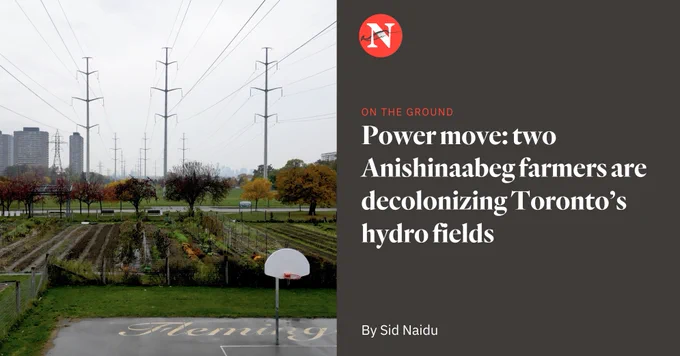 Left: Aerial of small urban farm under hydro lines in in Flemingdon Park. Right: Narwhal logo, followed by label 'on the ground' and the headline: Power move: two Anishinaabeg farmers are decolonizing Toronto’s hydro fields. By Sid Naidu