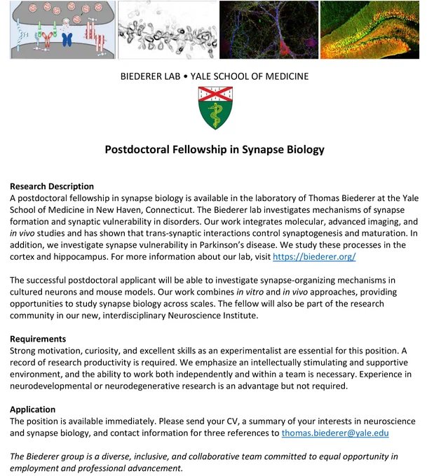 Interested in a postdoc to investigate mechanisms of synapse formation and synaptic vulnerability in disorders? We have an open position to study synapse biology across scales. The flyer describes this opportunity. For more info, visit https://biederer.org/ Feel free to repost.