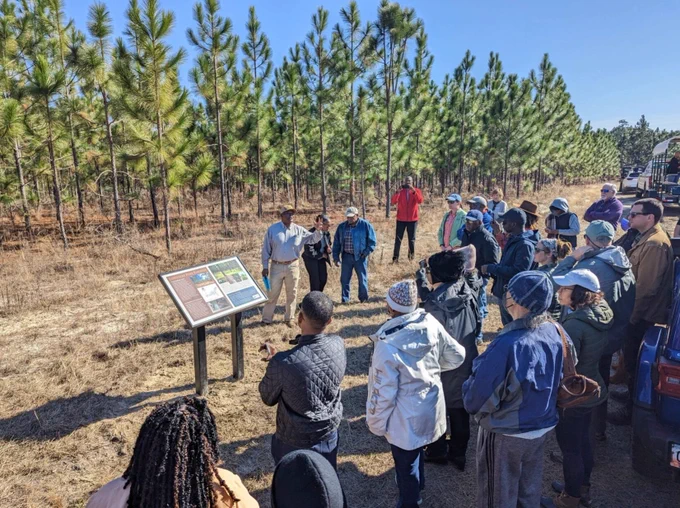 Herbert Hodges speaks to a group of forest landowners in front of a stand of longleaf pine trees. Photo courtesy of Tiffany Woods, National Wildlife Federation.