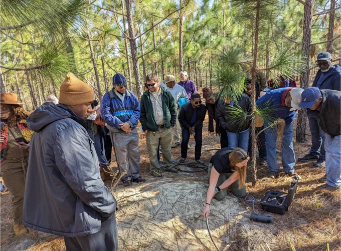 people observe a demonstration in the forest