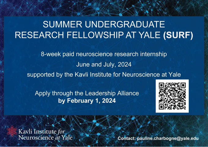 Flyer with QR code to apply for an 8-week paid summer undergraduate internship in neuroscience at Yale. Sponsored by the Kavli Institute for Neuroscience at Yale.