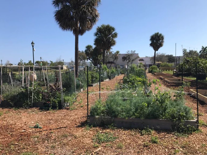 Photo courtesy of UF IFAS Photography