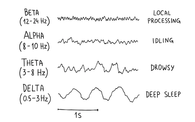 different types of brain waves illustrated by backyard brains