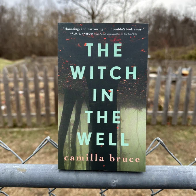 The Witch in the Well on a fence