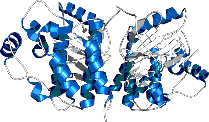 Graphic of folded protein structure.