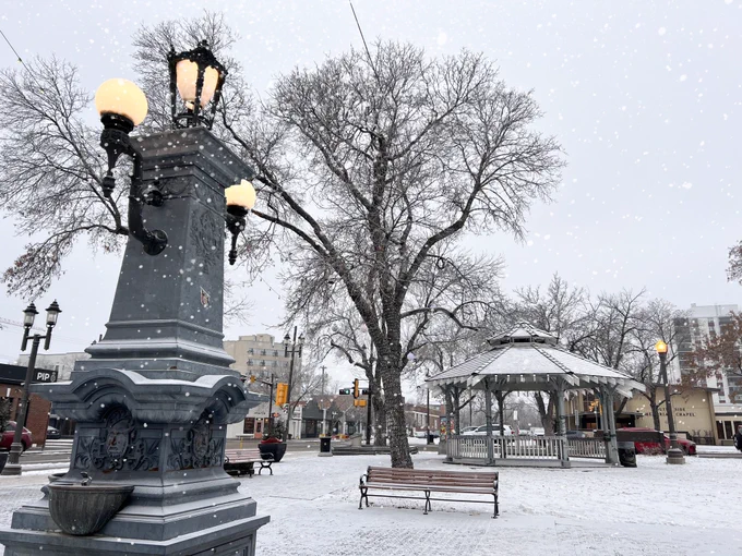 Snowy winter photo of a park in Old Strathcona.