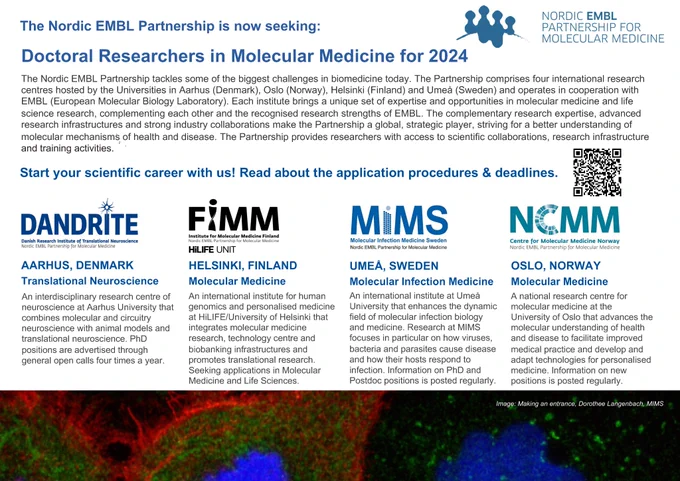 The Nordic EMBL Partnership for Molecular Medicine is seeking doctoral researchers at its four nodes; DANDRITE, FIMM, MIMS, NCMM. Apply before 11 February 2024.