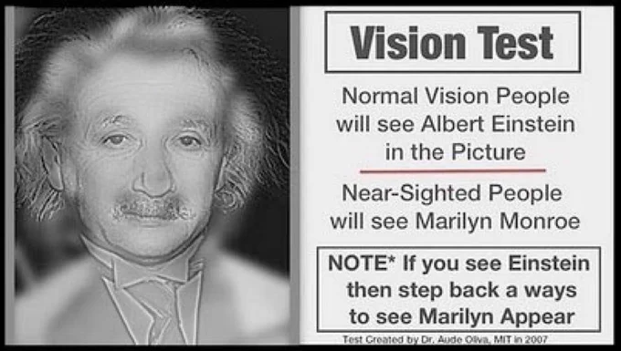 @AudeOliva 's Einstein/Marilyn composite ... not a near/far sight thing - actually blurred/sharp.
Twitter loves to make things go 'viral' because they are wrong.