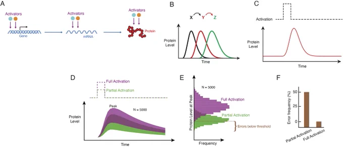 Figure 1A-F