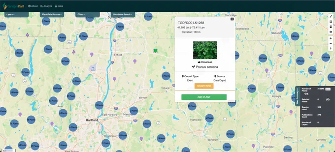A screenshot of CartograPlant. Slightly to the right of center is a pop-out that displays information about a selected tree.