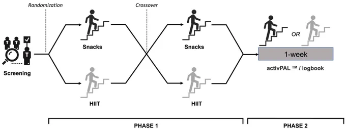Graphical representation of the study design. 
