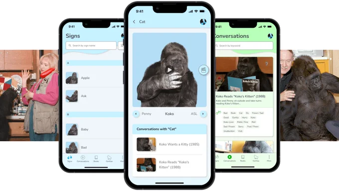 Three iPhones lined up displaying screenshots of the Koko Signs App