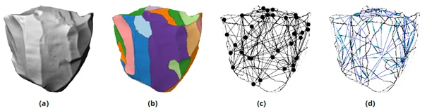  (a) 3D mesh of GdF RF.c_49; (b) ground truth label; (c) adjacency graph model; (d) graph model (direction = Falcucci, Conard, et al., 2017)