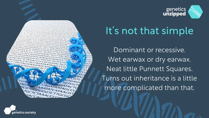 Image: DNA helix. Text: It's not that simple. Dominant or recessive. Wet earwax or dry earwax. Neat little Punnett Squares. Turns out inheritance is a little more complicated than that.