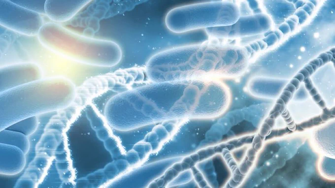 Graphic of bacterial cells and DNA. 