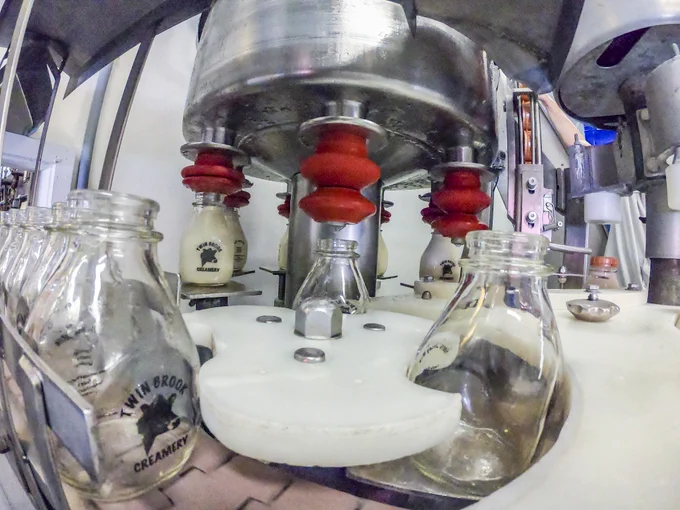 Photo of milk bottling operation.