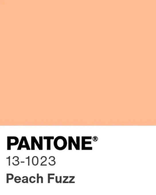Pantone color swatch for color 13-1023, Peach Fuzz