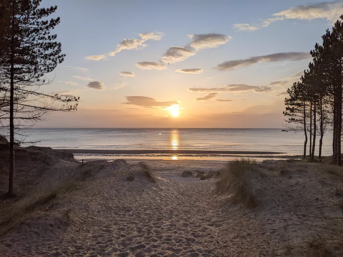 Sunset over the sea with a sandy beach path leading between two sides of trees onto the beach