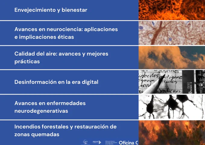 Títulos de los seis informes publicados por la #OficinaC