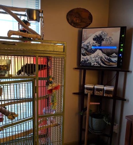A MinusA2 air purifier with 'The Great Wave off Kanagawa' front panel design mounted beside a large birdcage, in a room with rustic decor and bird supplies.