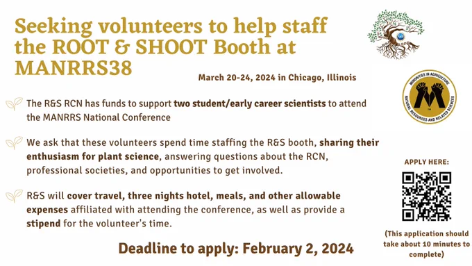 Flyer with brown and gold text on a white background. The texts says seeking volunteers to help staff the root and shoot booth at MANRRS 38 March 20 to 24, 2024. The R and S RCN has funds to support two student early career scientists to attend the MANRRS national conference. We ask that these volunteers spend time staffing the root and shoot booth, sharing their enthusiasm for plant science, answering questions about the RCN, professional societies, and opportunities to get involved. R and S will cover travel, three nights hotel, meals, and other allowable expenses affiliated with attending the conference, as well as provide a stipend for the volunteer's time. Deadline to apply: February 2, 2024. On the right side there is a QR code with the text this application should take about ten minutes to complete.