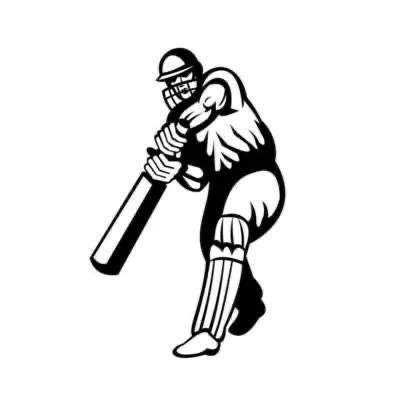 Cricket