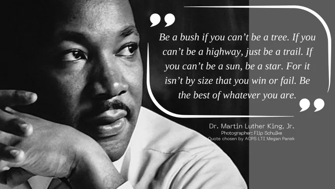 Black and White image of MLK with his quote to be the best of whatever you are.