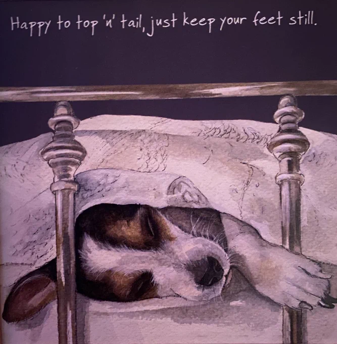 It’s a watercolour picture of the end of a bed. The metal railings within view. And peaking out of the bottom, resting peaceful covered in a white blanket is a small pup. She’s a tri-colour cocker spaniel. She has tan eyebrows, a little white stripe of fur that is centred on her head. An ear is draped open, in the typical spaniel way. She is sound asleep and looks peaceful.
The caption at the top of the image reads “Happy to top’n’tail, just keep your feet still!”