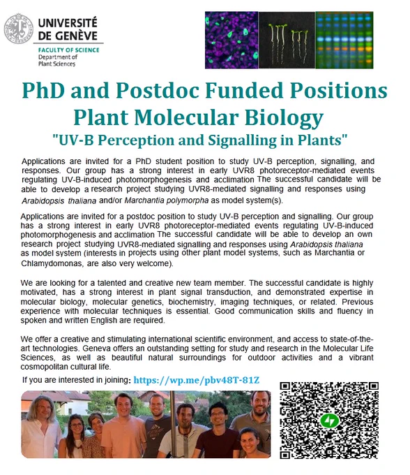 PhD and Postdoc Funded Positions in Plant Molecular Biology
