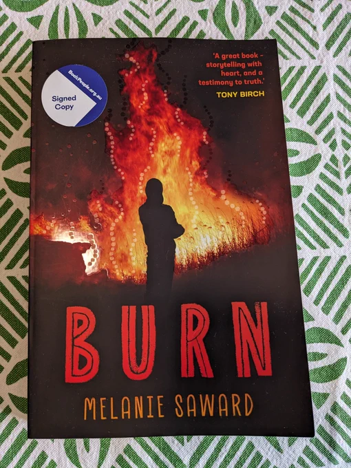Photo of a book: "Burn" by Melanie Saward
