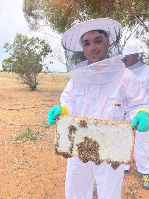 Young Indigenous man in a beekeeping suit is holding up a frame from a beehive which has some bees gathered on it.