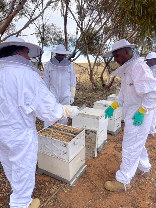 Four people in beekeeping suits are gathered around a set of beehives, one of which is open.