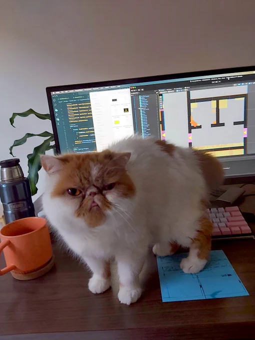 photo of my work desk. there is a screen with Unity and Vscode open that's partially obscured by a cat who's standing on the desk and staring straight into the camera. the cat has a hunched and awkward pose and a facial expression that looks a lot like what mine probably did when i fell into a k-hole and spent an hour throwing up in a gutter behind a club. generally he looks very fucked up and also has no desire to move or change this situation in any way