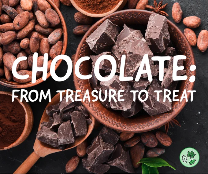 Chocolate: From Treasure to Treat text beside bowls of chocolate bits, cacao beans, and cocoa powder