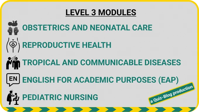 NURSING LEVEL 3 MODULES:

1. OBSTETRICS AND NEONATAL CARE
2. REPRODUCTIVE HEALTH
3. TROPICAL AND COMMUNICABLE DISEASES
4. PEDIATRIC NURSING
5. ENGLISH FOR ACADEMIC PURPOSES (EAP)
