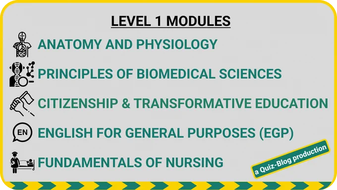 NURSING LEVEL 1 MODULES:

1. ANATOMY AND PHYSIOLOGY
2. PRINCIPLES OF BIOMEDICAL SCIENCES
3. CITIZENSHIP & TRANSFORMATIVE EDUCATION
4. ENGLISH FOR GENERAL PURPOSES (EGP)
5. FUNDAMENTALS OF NURSING
6. INFORMATION TECHNOLOGY & COMPUTER SKILLS