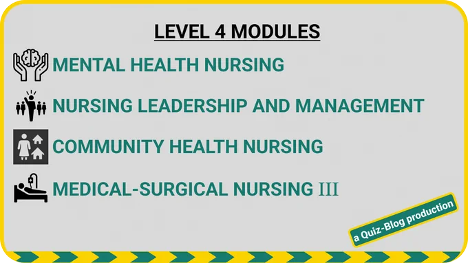NURSING LEVEL 4 MODULES:

1. MENTAL HEALTH NURSING
2. NURSING LEADERSHIP AND MANAGEMENT
3. COMMUNITY HEALTH NURSING
4. MEDICAL SURGICAL NURSING III
