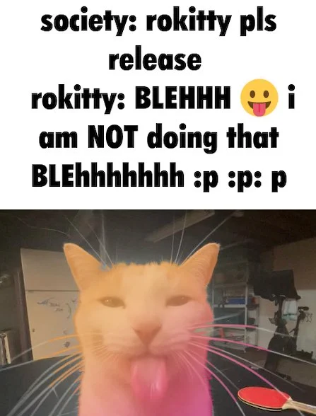 society: rokitty pls release
rokitty: BLEHHH i am NOT doing that BLEhhhhhhh :p :p :p