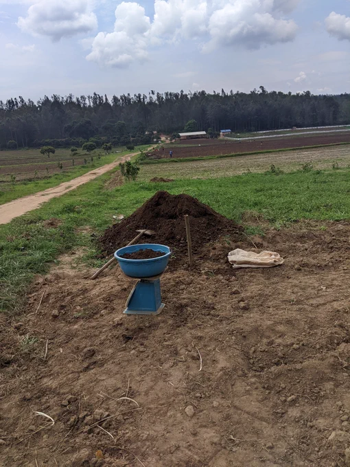 We were measuring manure to apply on every treatment.