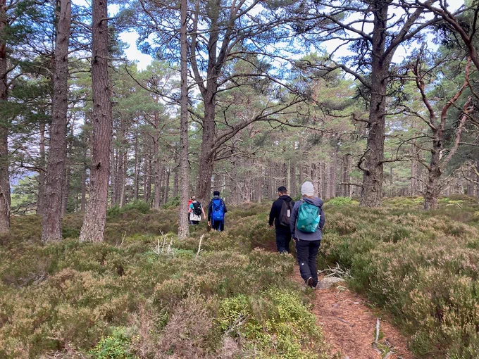 Five Officer Cadets on a trail